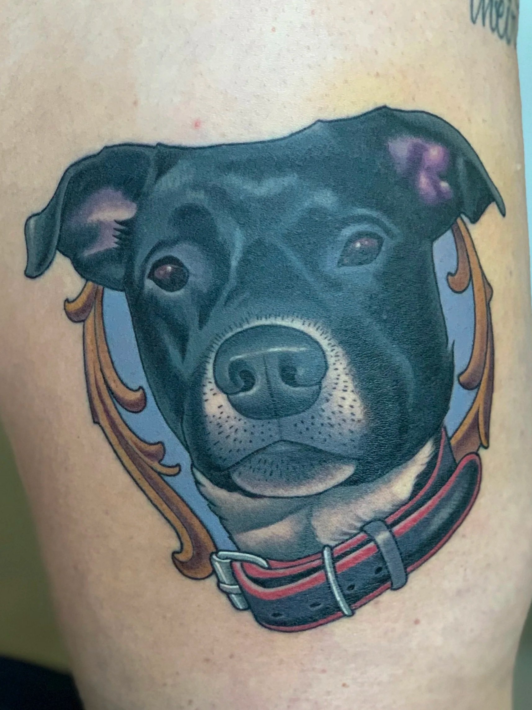 Black Dog Tattoo