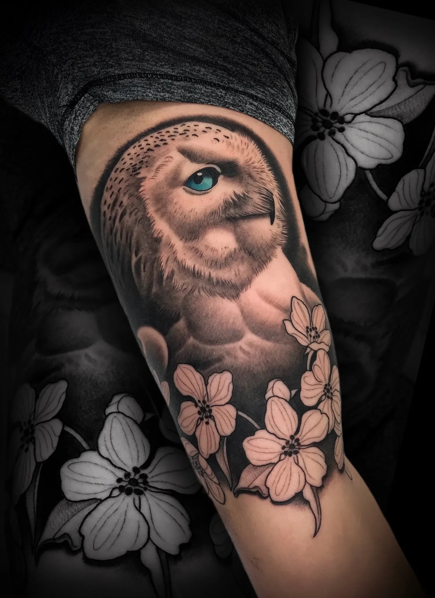 snowowl.webp