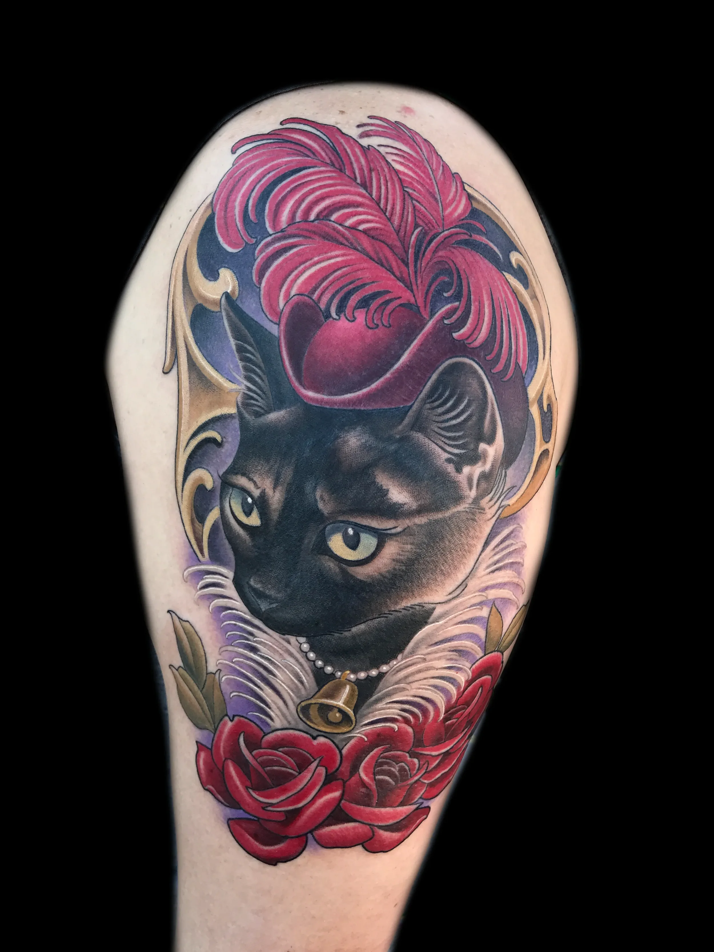 fancycat.webp