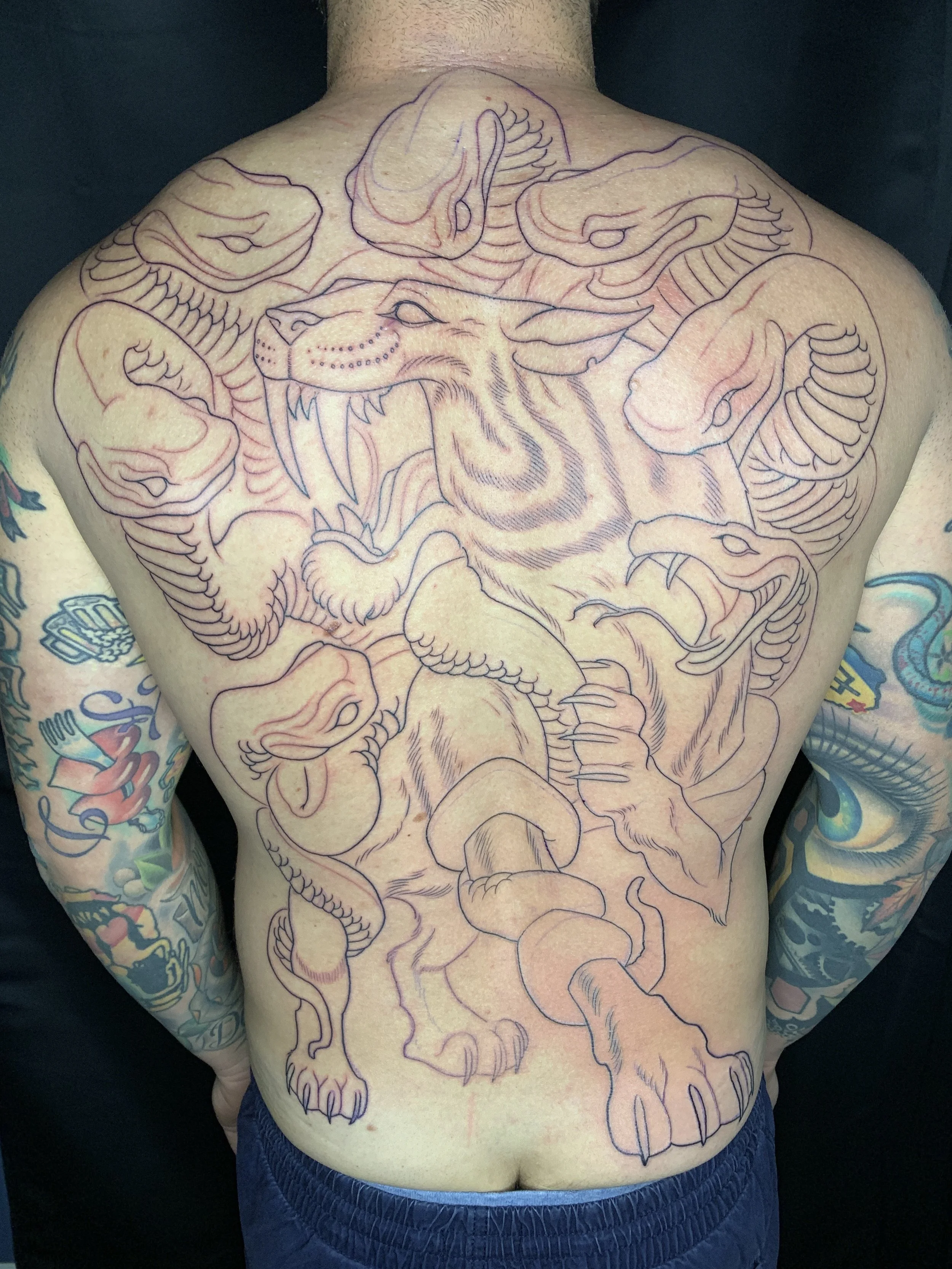 Saber tooth cat back piece tattoo line work 