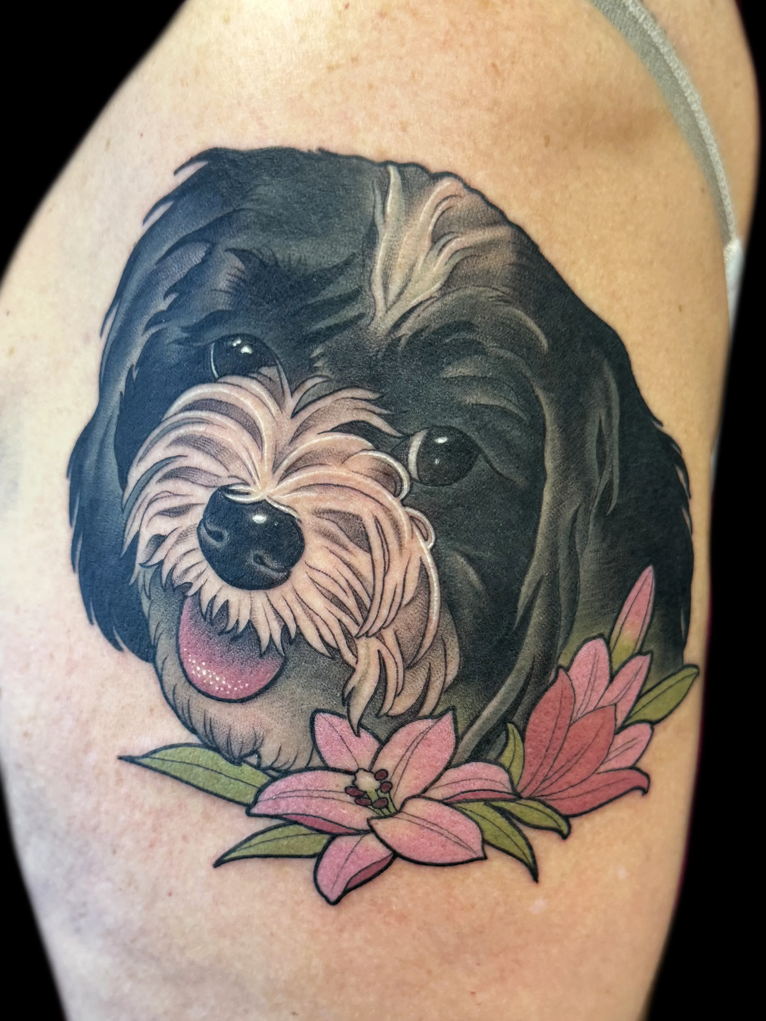 dogportrait5.webp