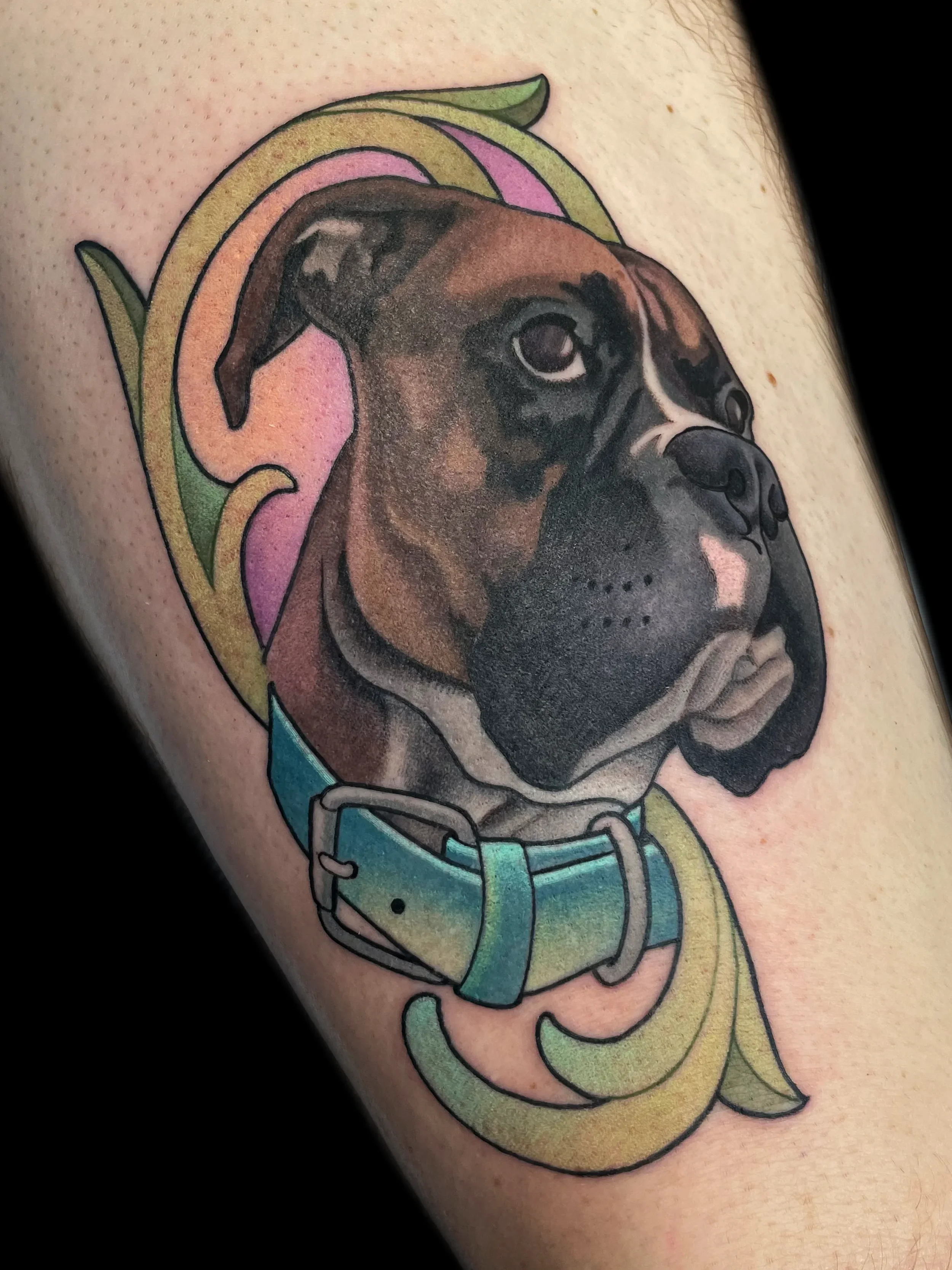 dogportrait8.webp