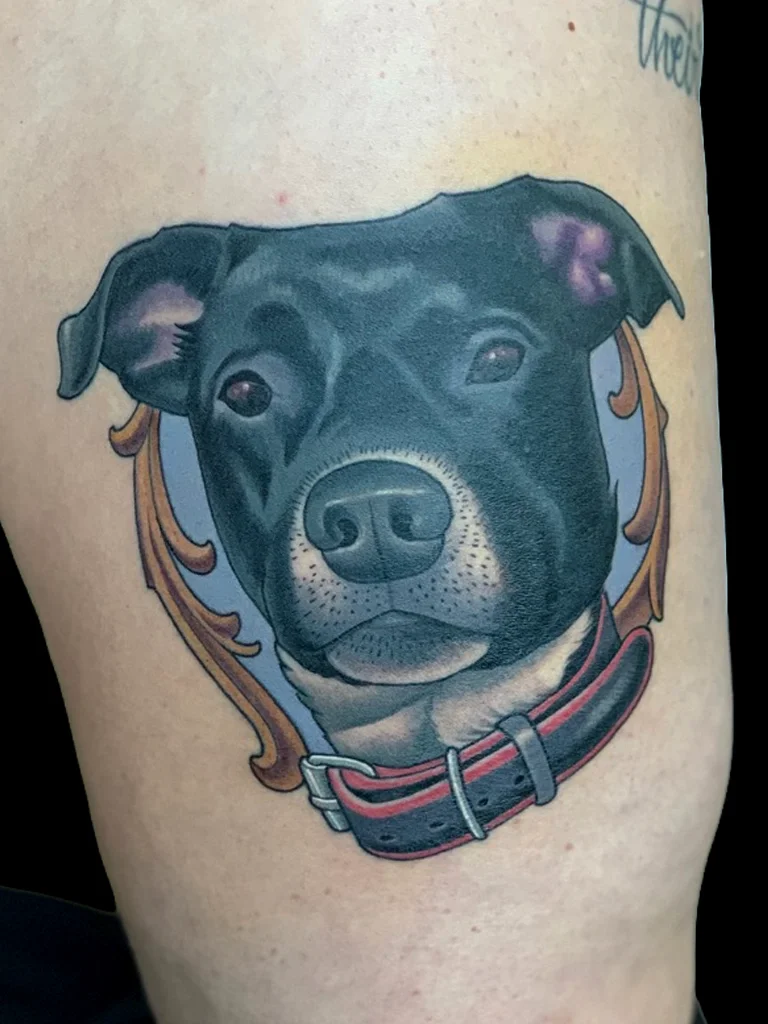 blackdog.webp