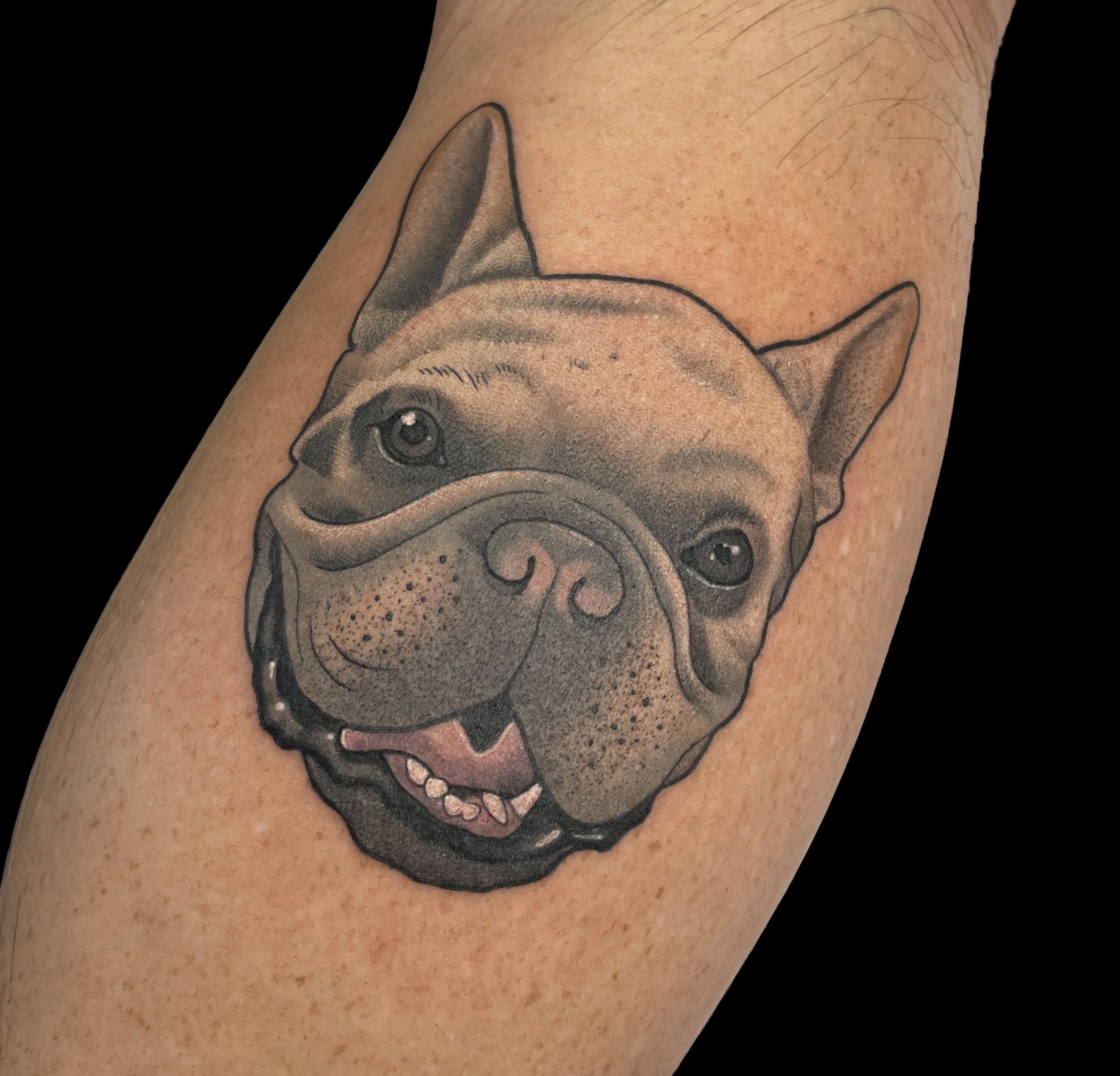 frenchie.webp