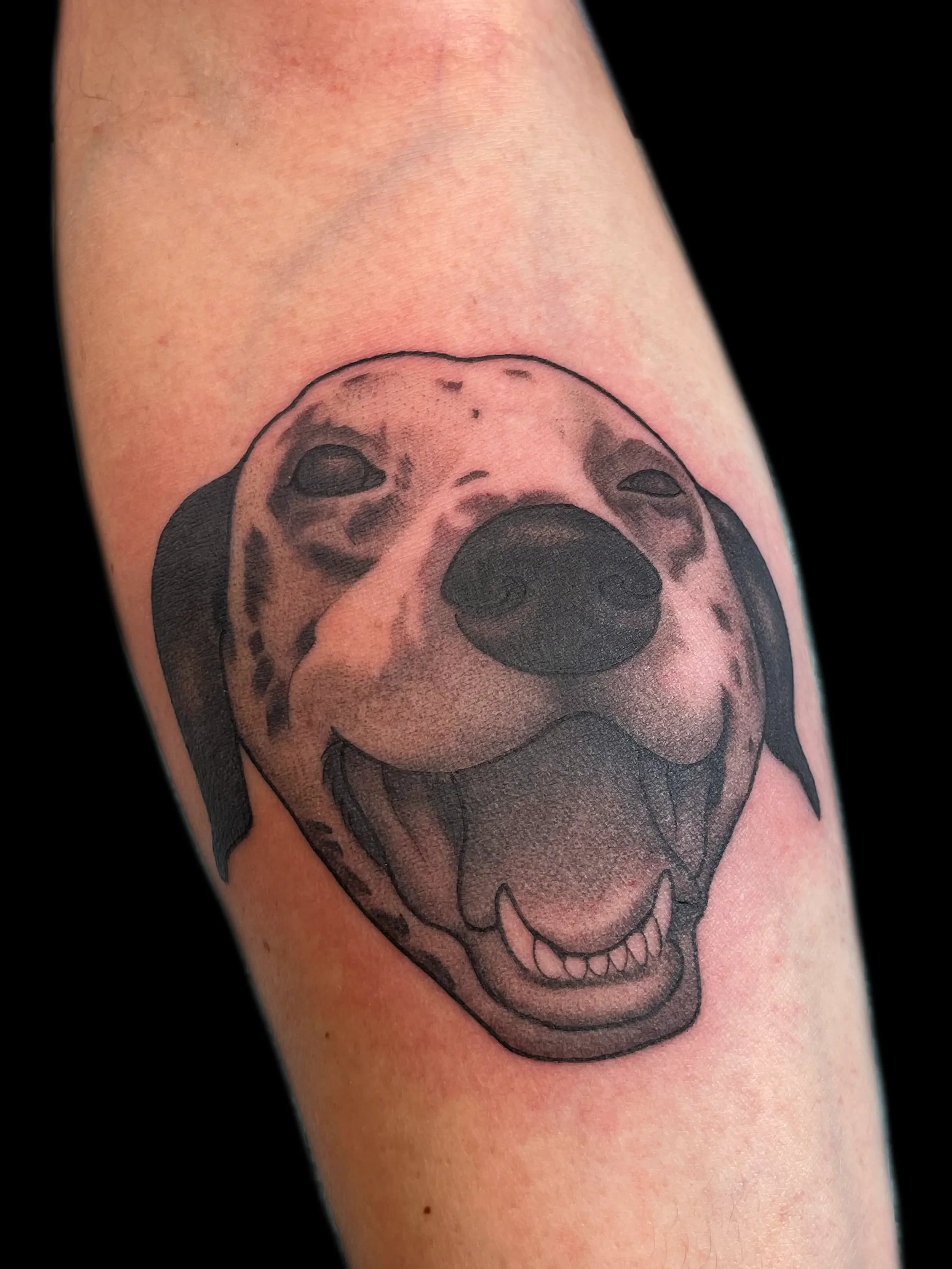 simplepup.webp