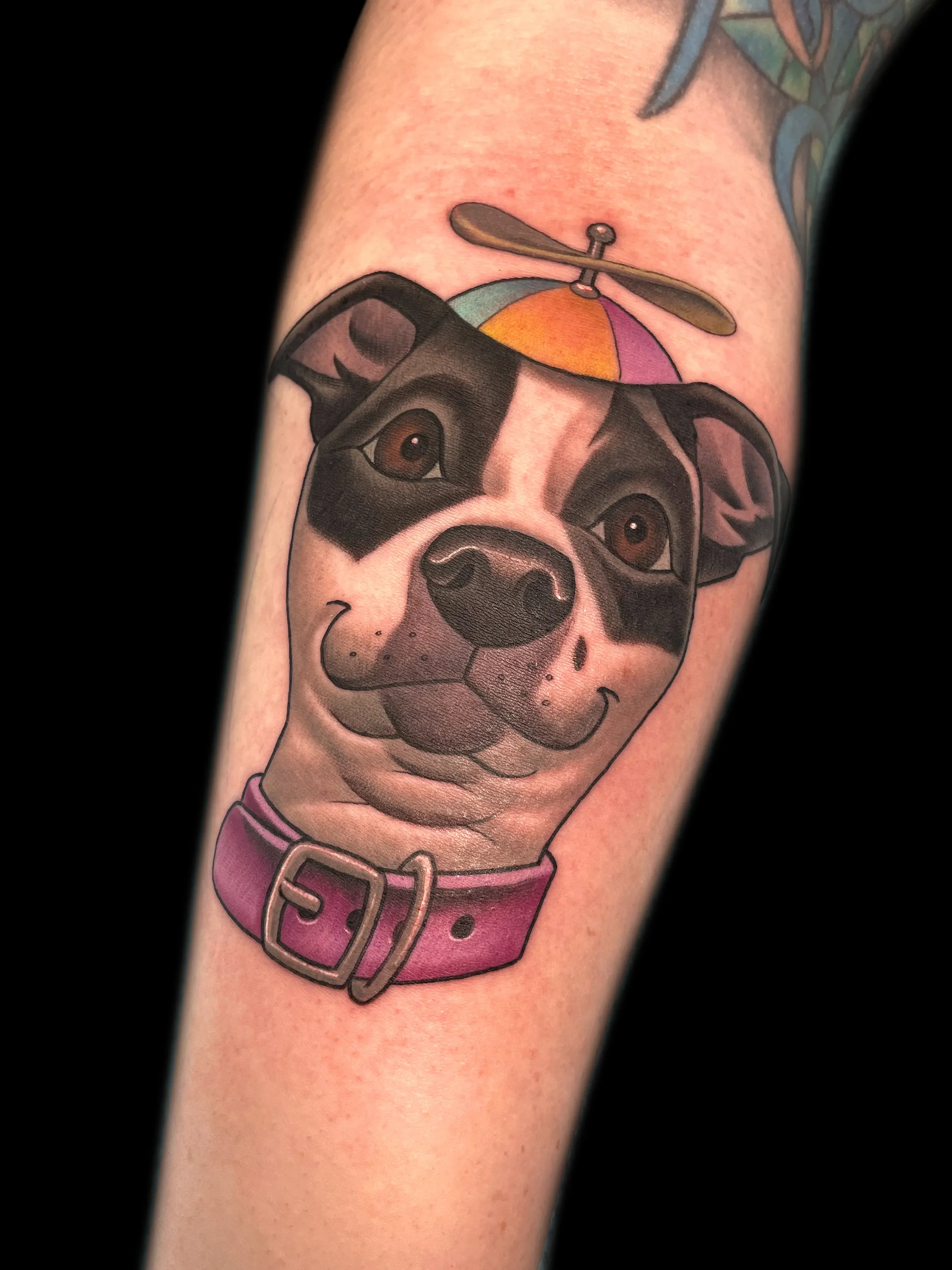 derpydog.webp