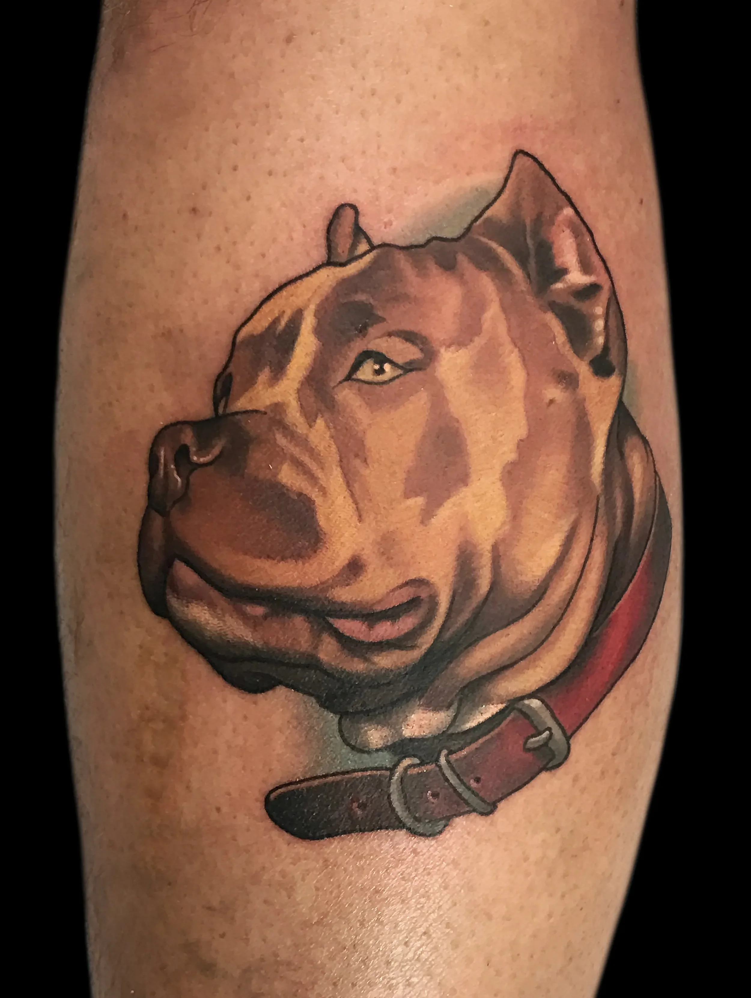 bully1.webp