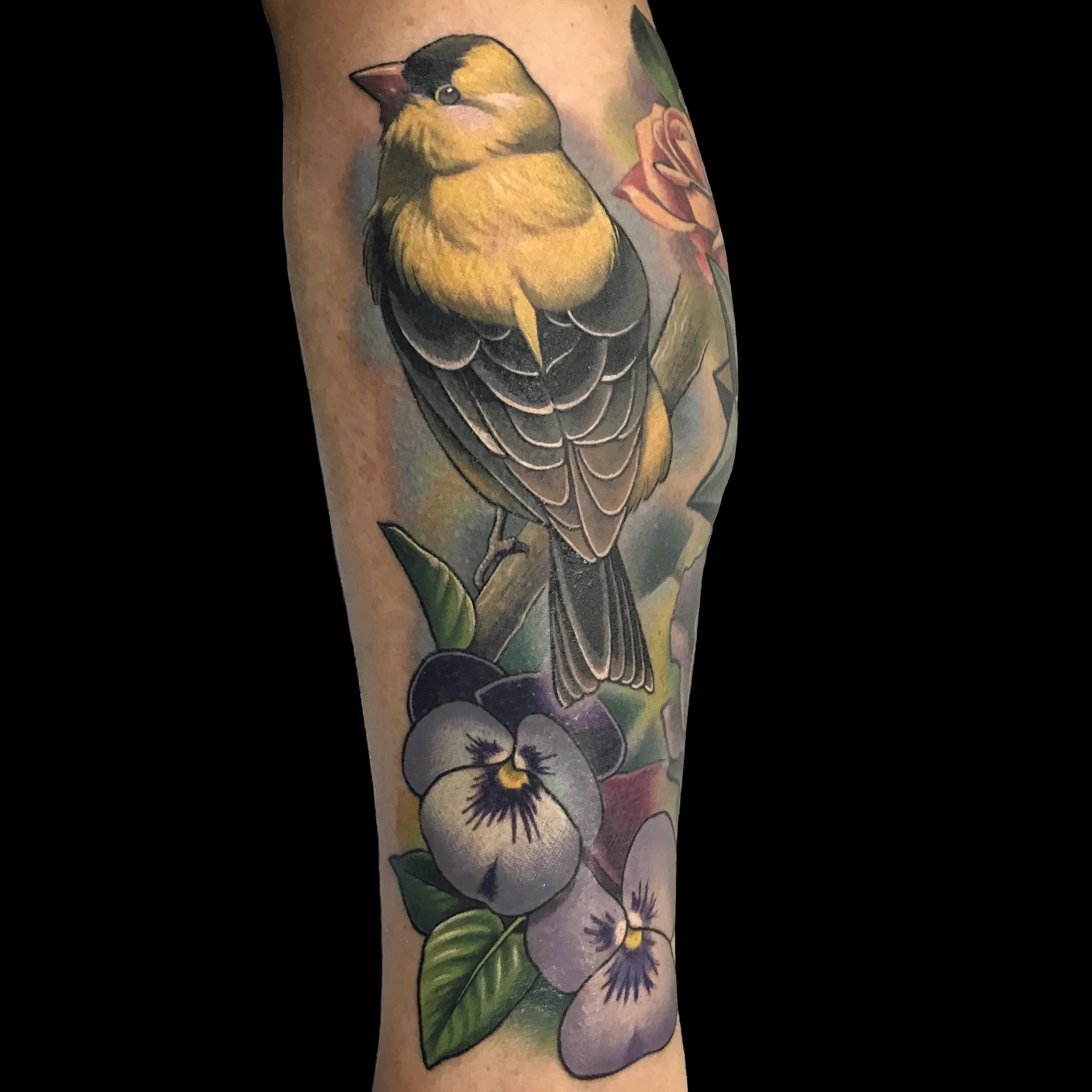 Yellow Bird and Morning Glories Tattoo