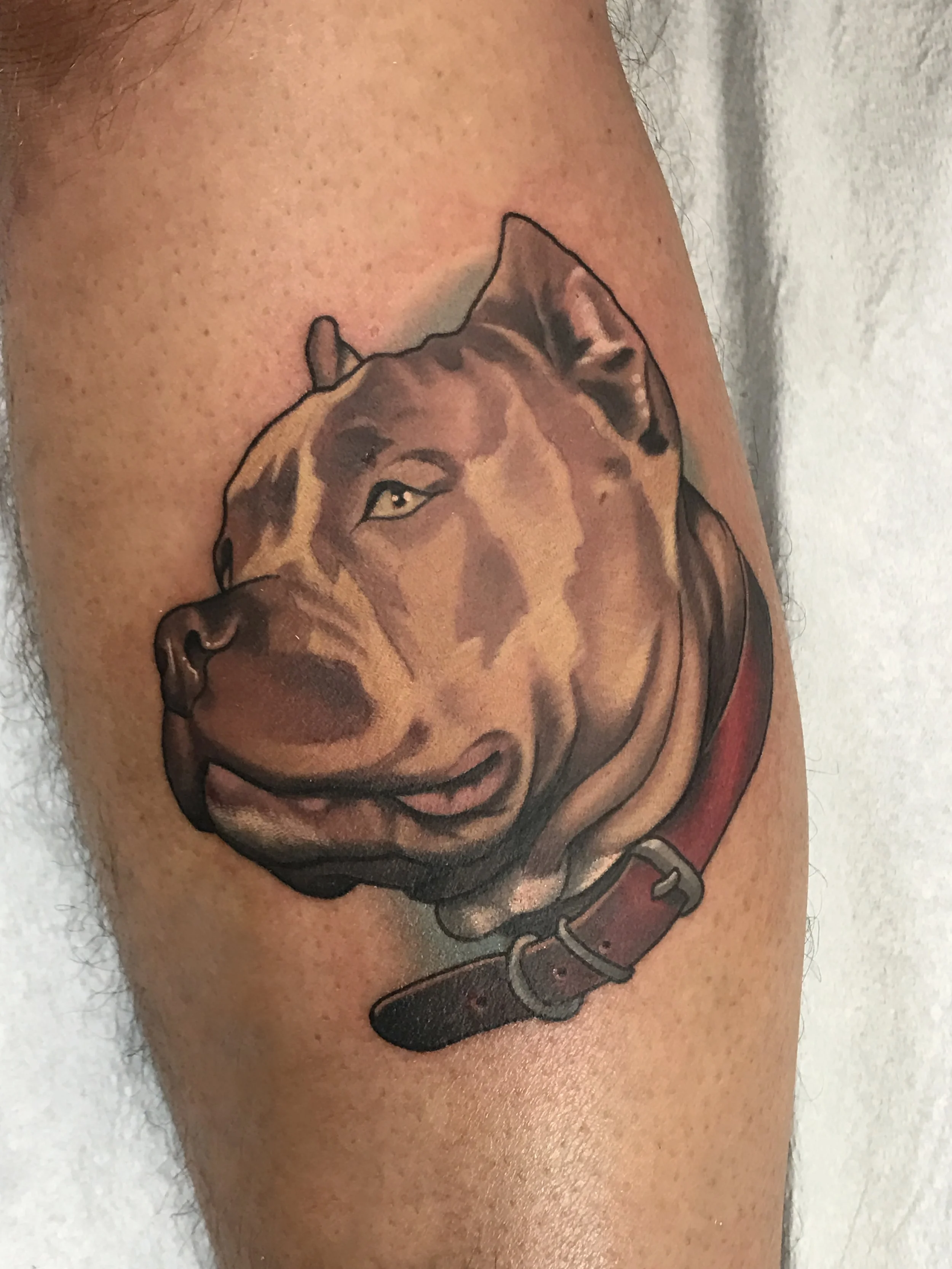 Dog Tattoo