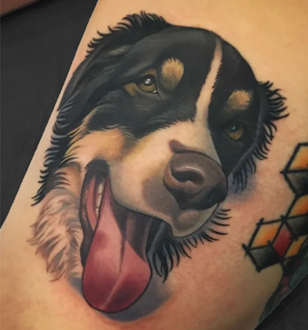 dogcollie copy.webp