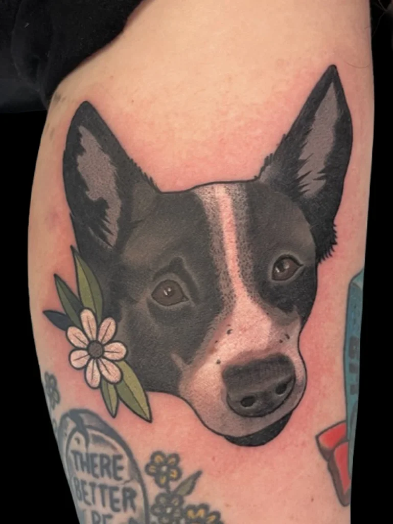 collieportrait2.webp