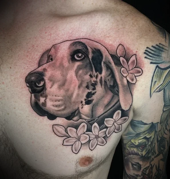 spottyhound.webp