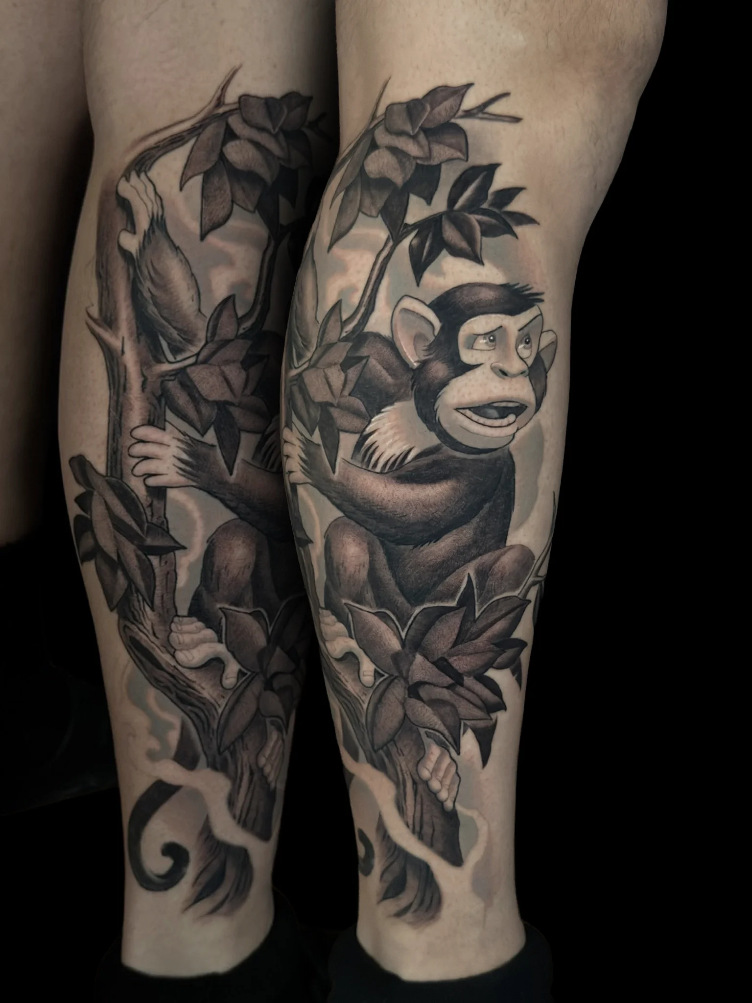 monkeyinatree.webp