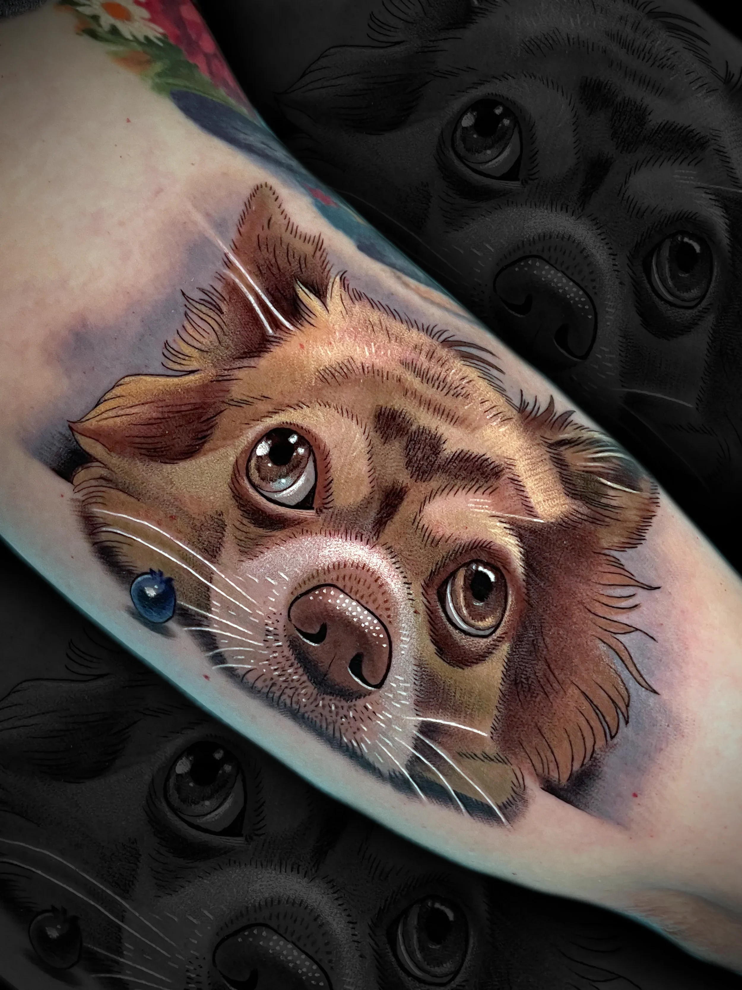 chihuahua.webp