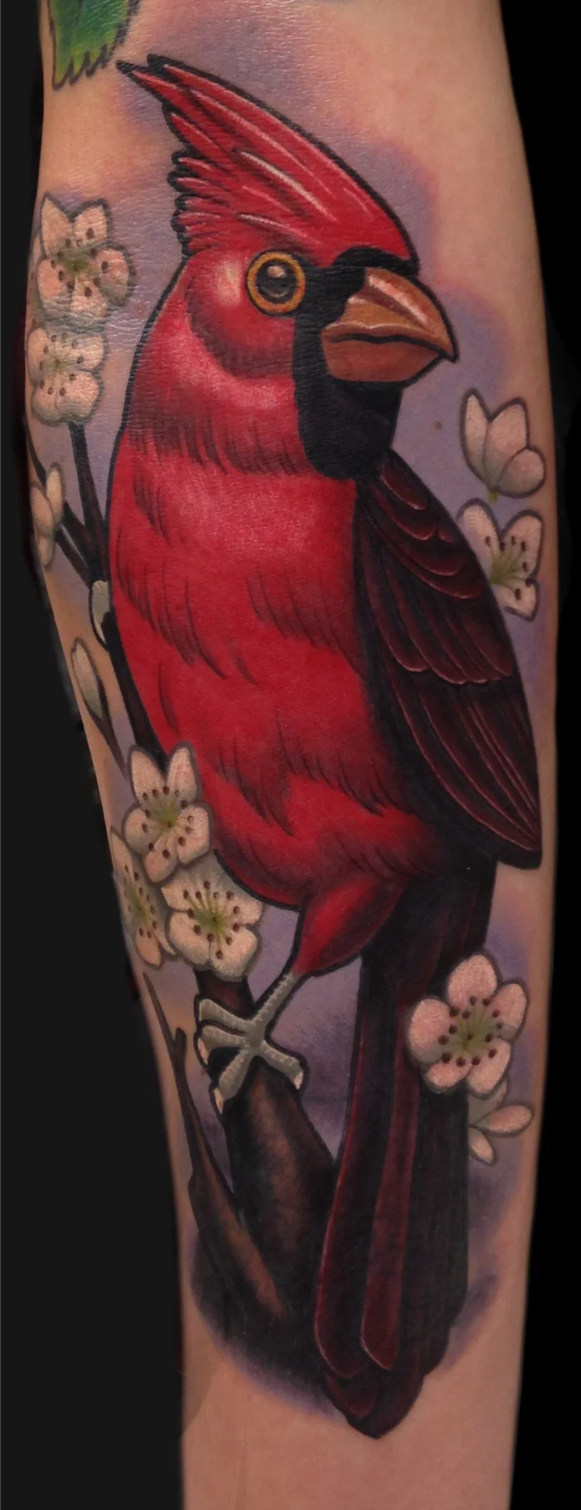 Cardinals Tattoo