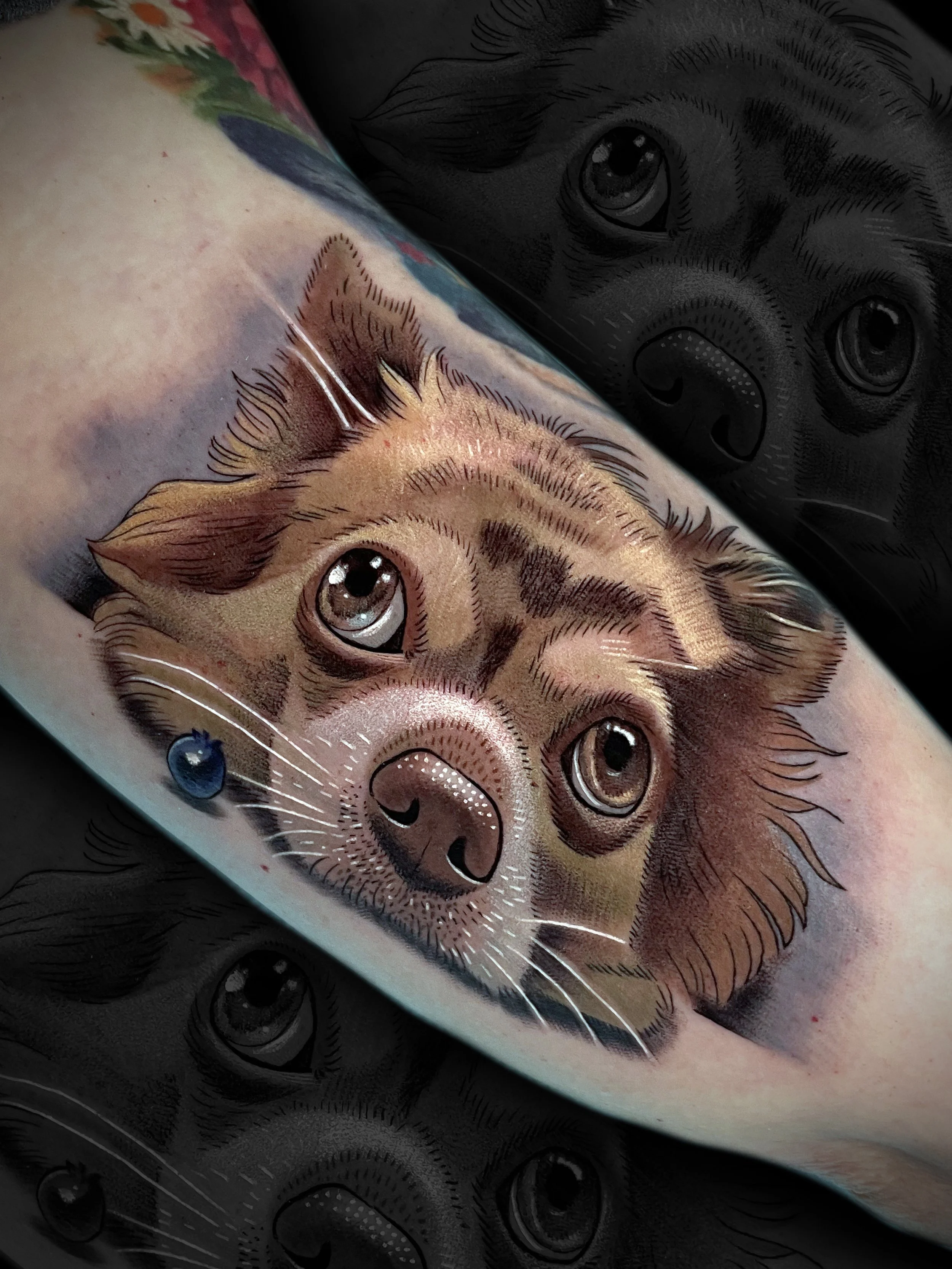chihuahua dog portrait tattoo