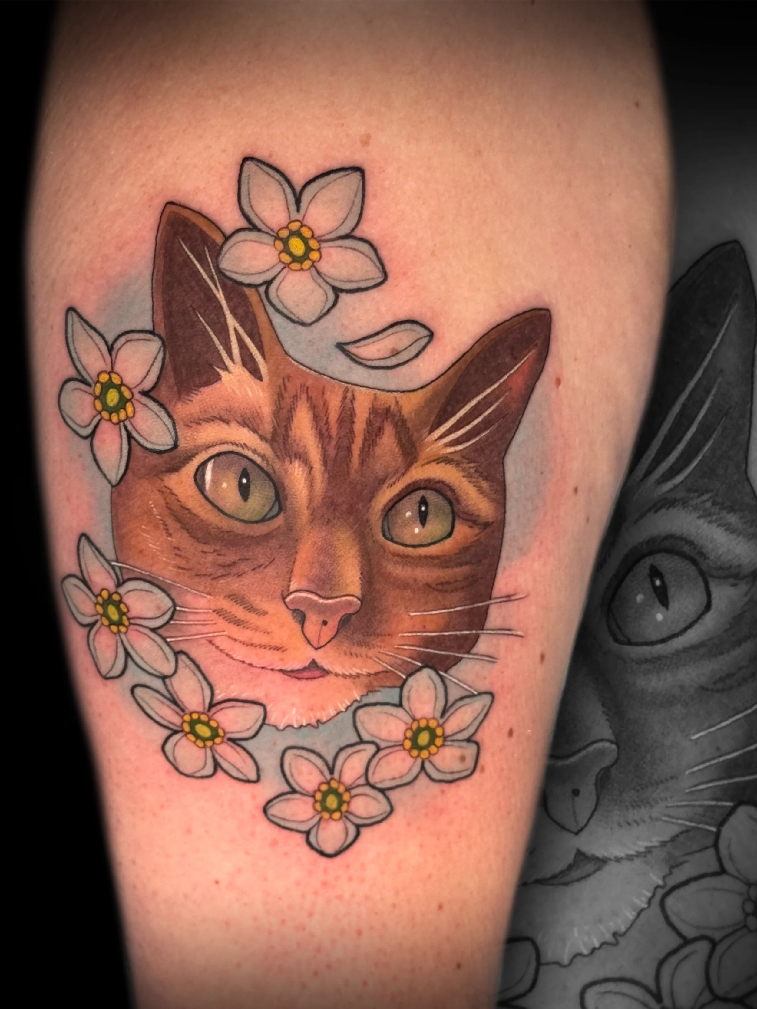 catblossoms.webp