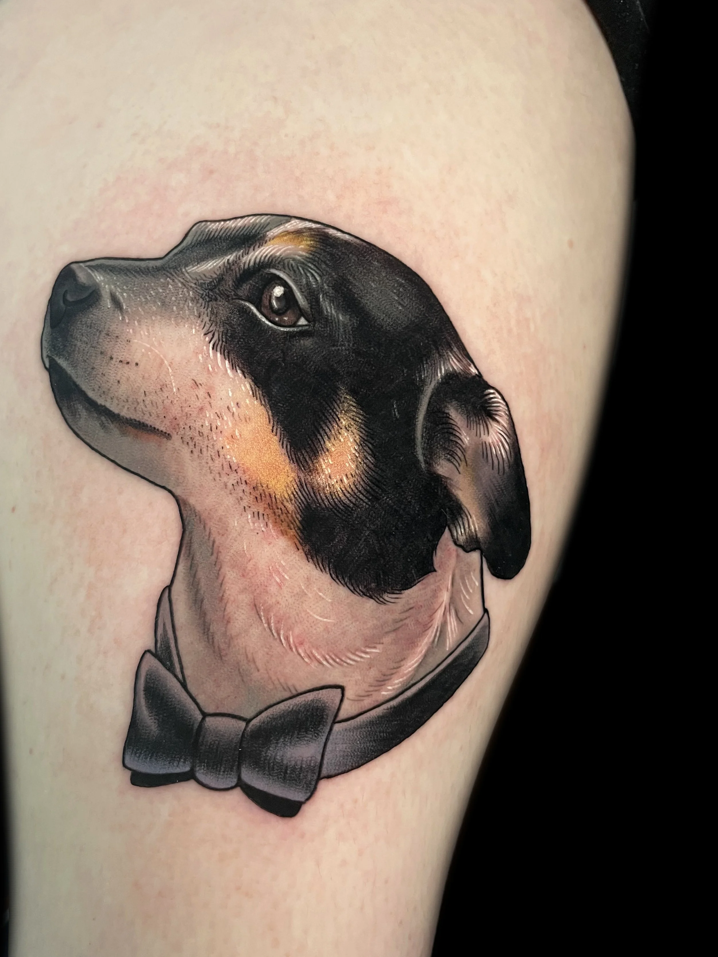 Dog Tattoo