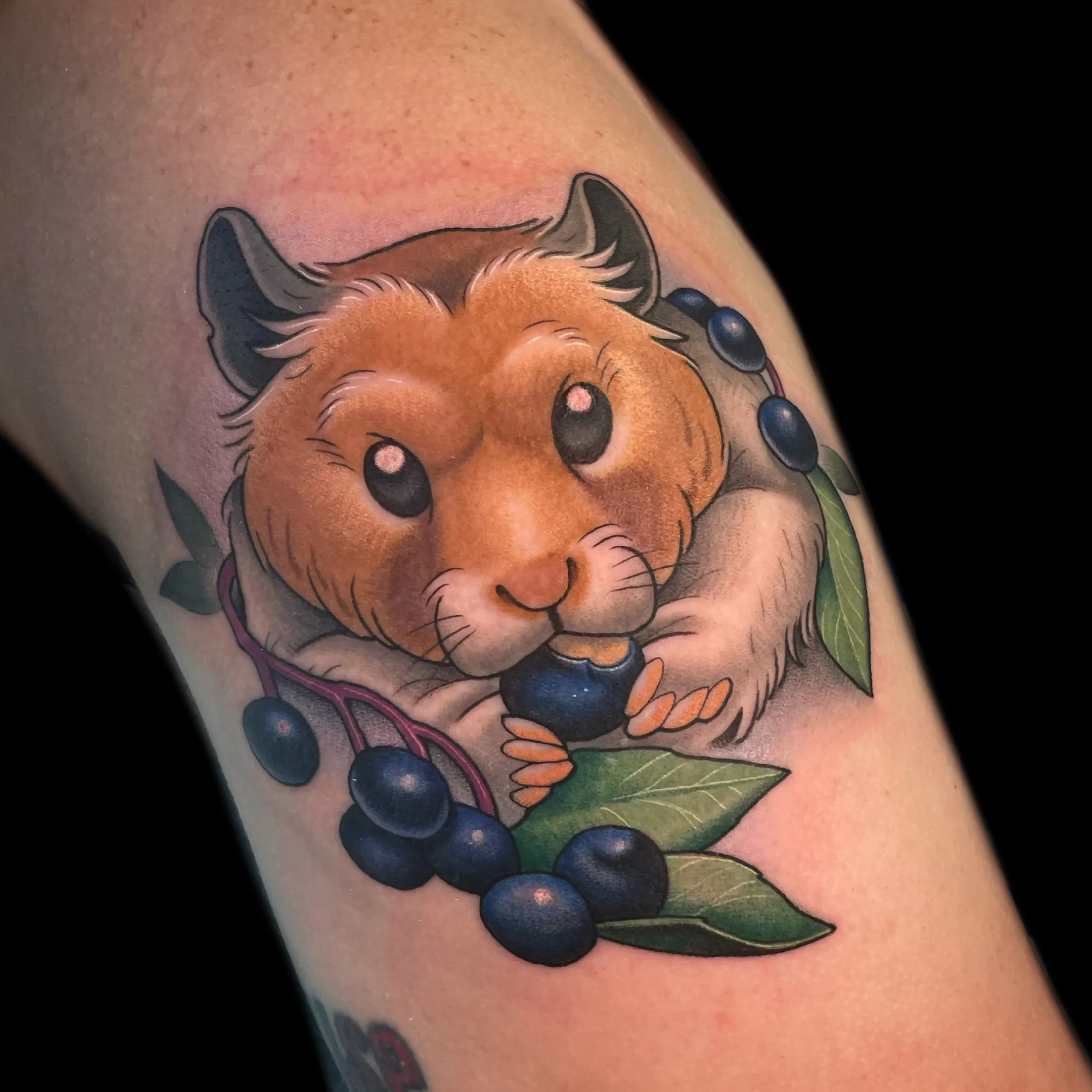 hamster.webp