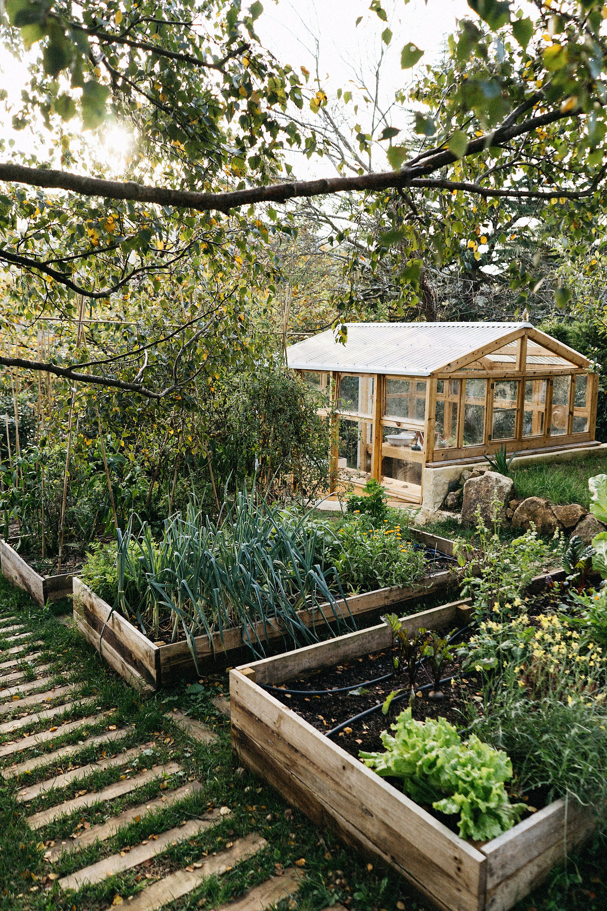 16102020-DSC01379Castelo A&Y videography AE.jpeg