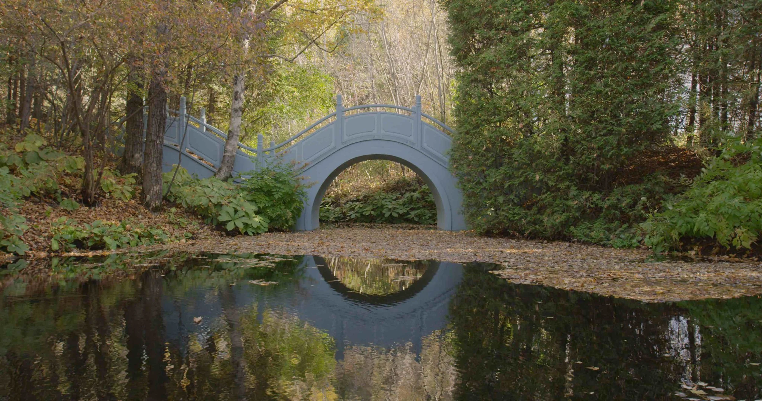 Pont de Lune.jpg