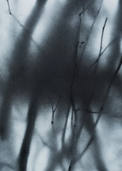 14 x 10 inches