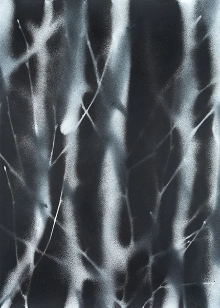 14 x 10 inches