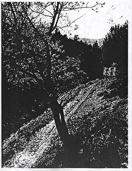 The Path