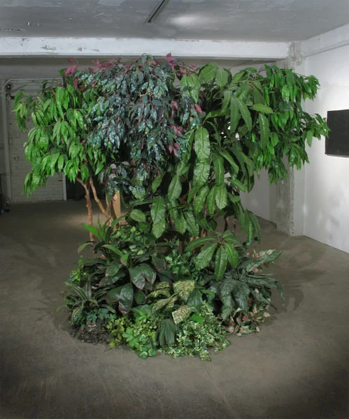 trees3.jpg