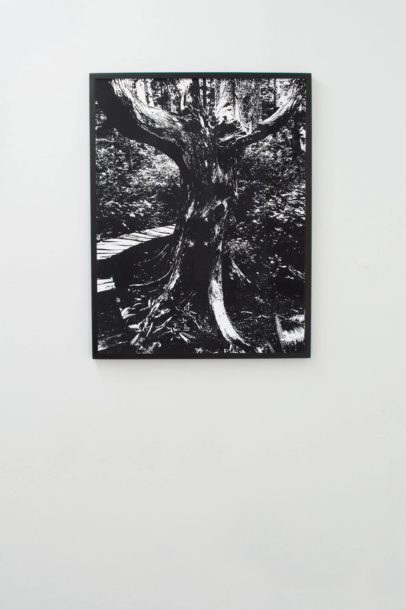 DSC_0231-as-Smart-Object-1.jpg