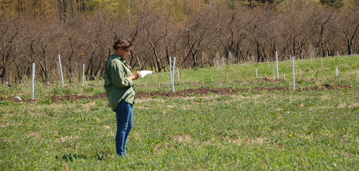 in pursuit of a story susan visits gene garthe's farm west of northport. 