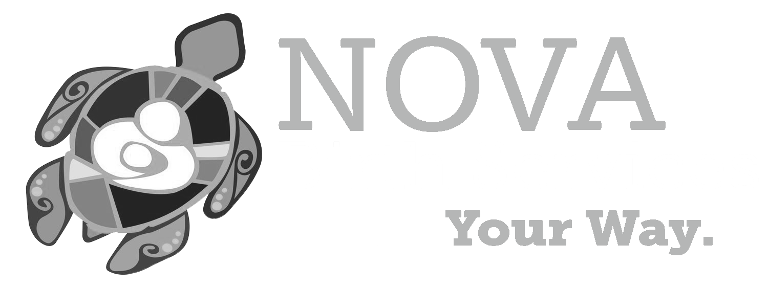 Northern Virginia Birth Services