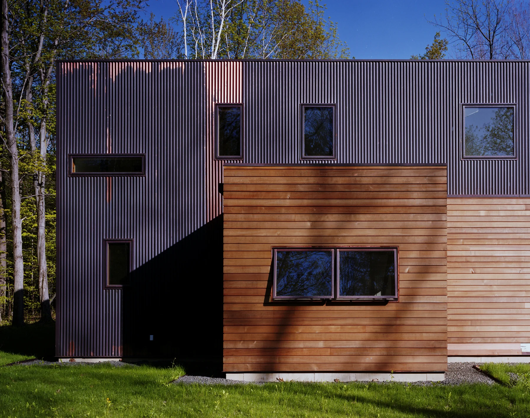 Copper 4 - website.jpg
