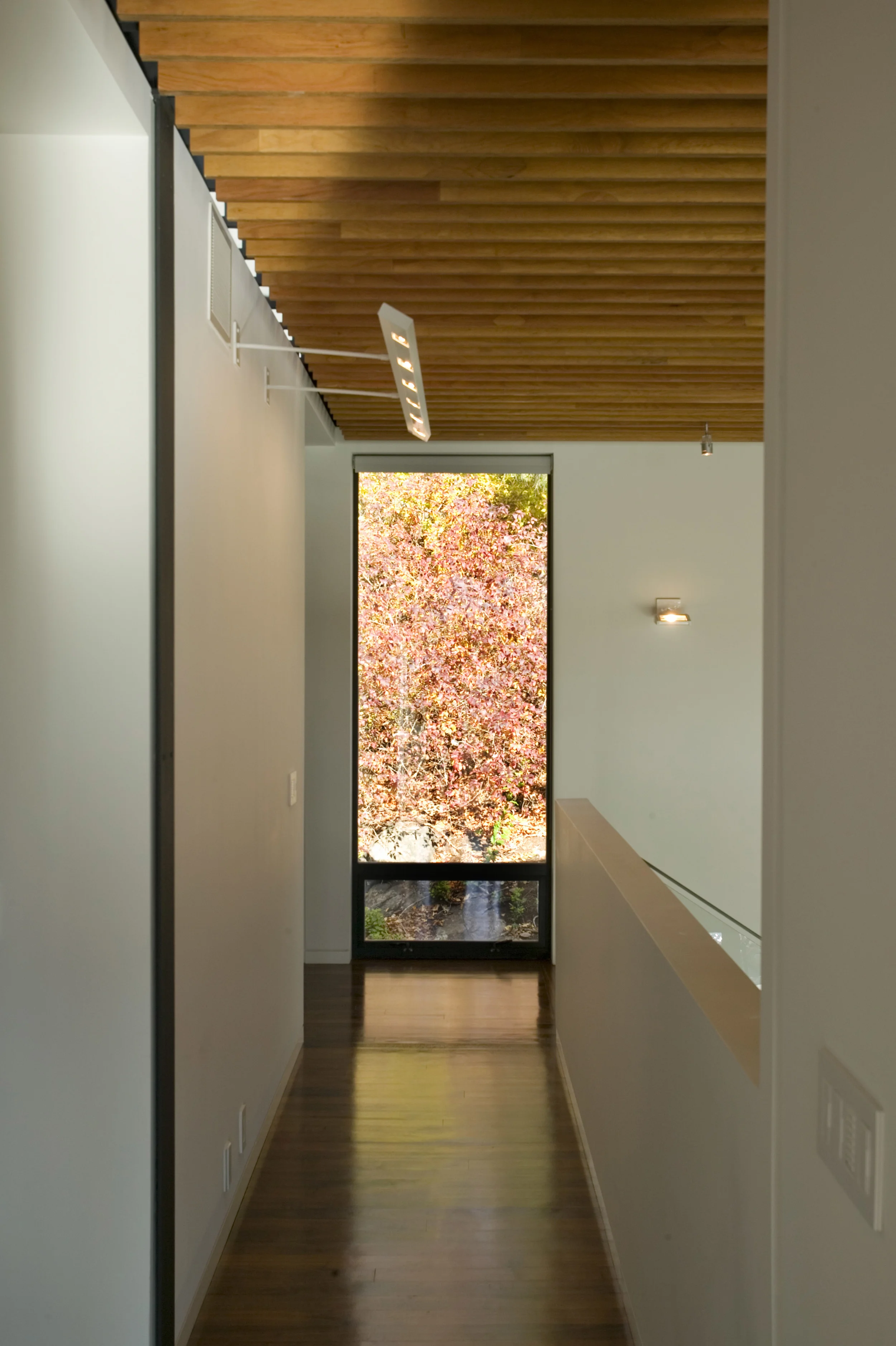 Fall window - website.jpg