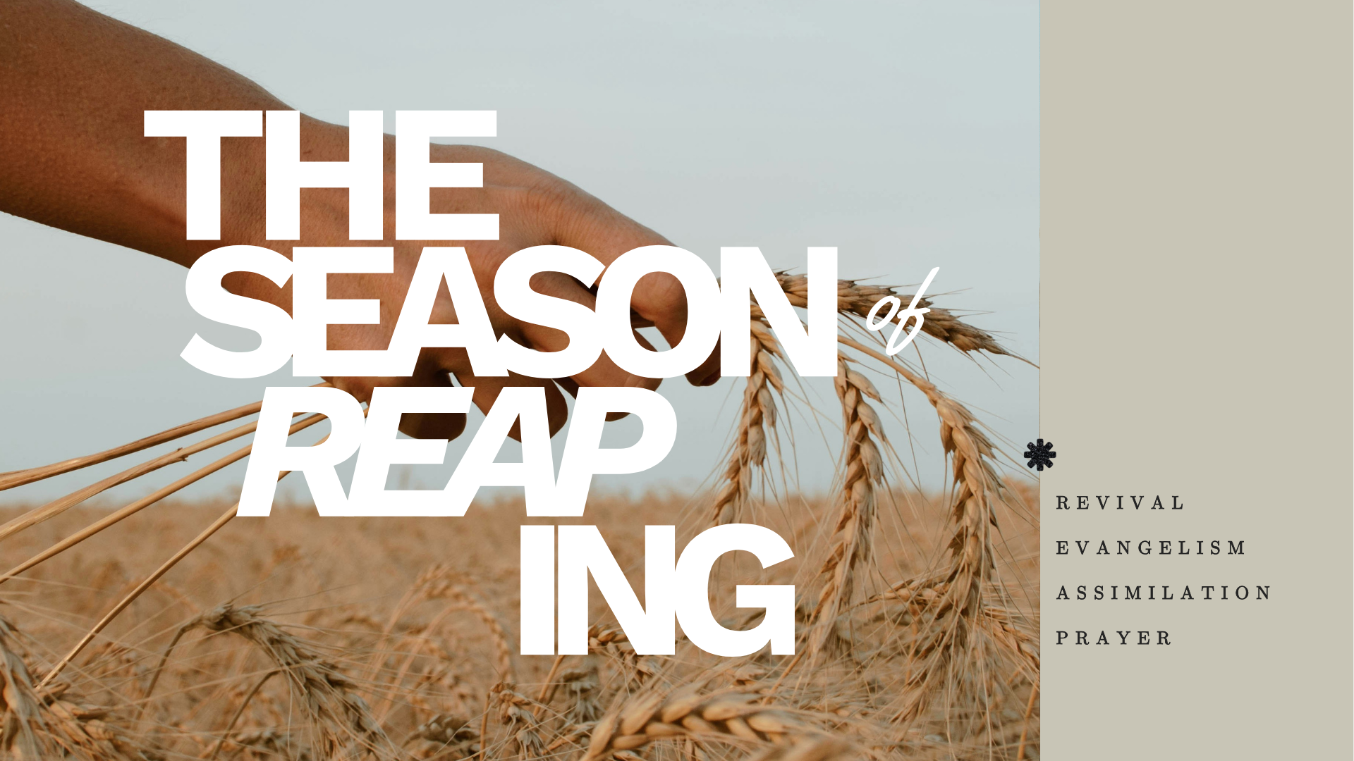 SEASON OF REAPING.png