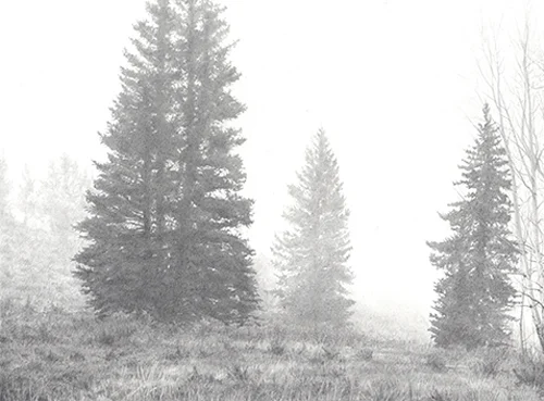 MountainMist-Thumb.jpg