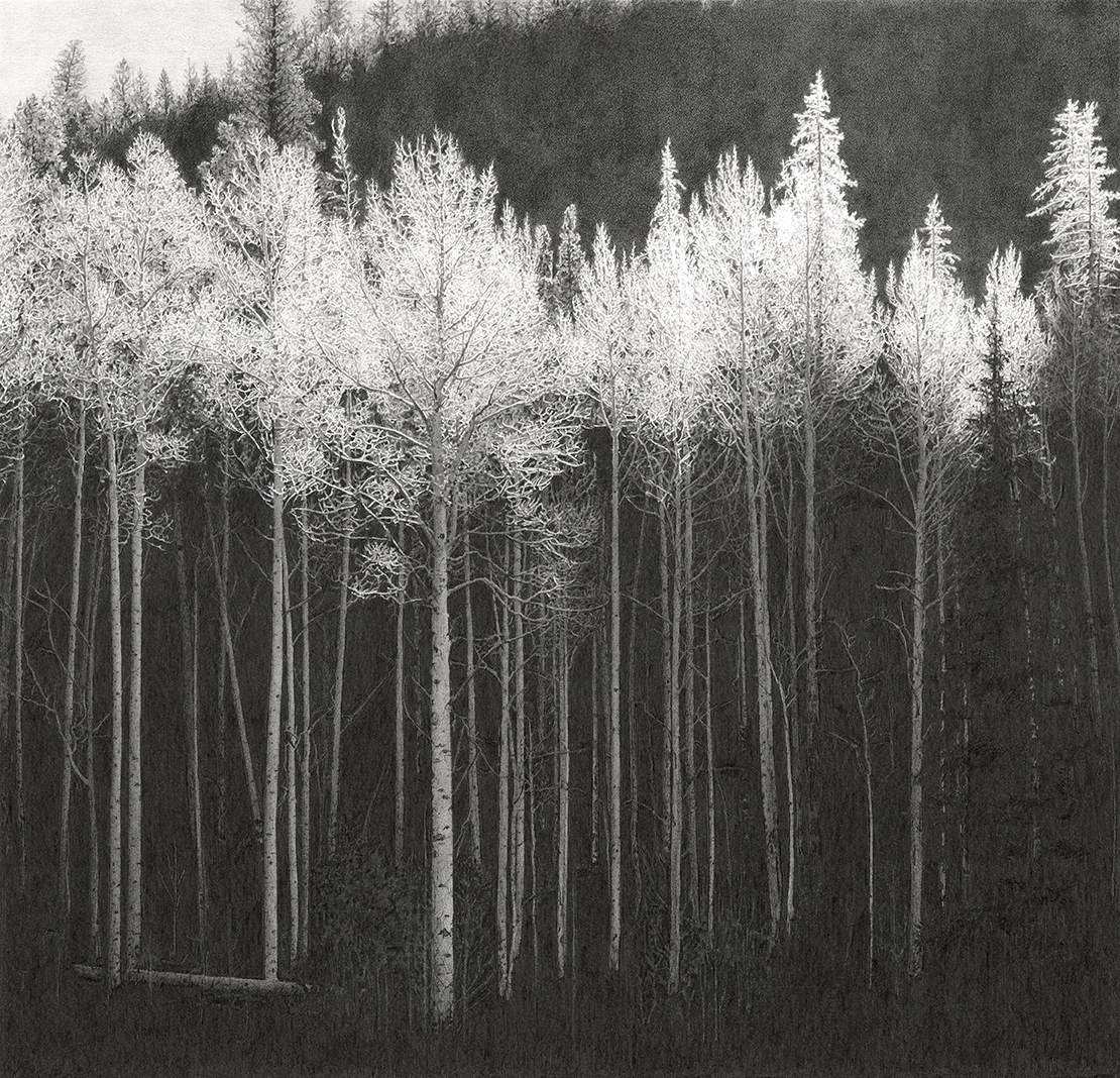 FirstFrost-Web.jpg