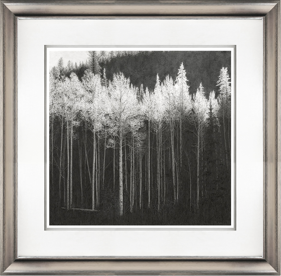 Frost-Framed.jpg