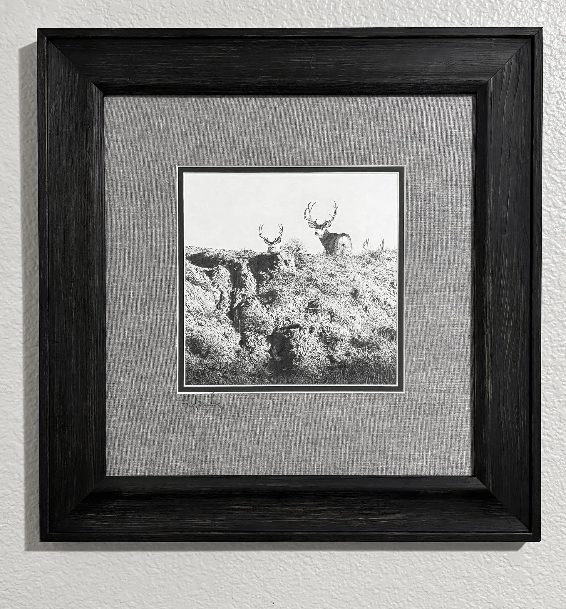 MuleDeer-Framed.jpg