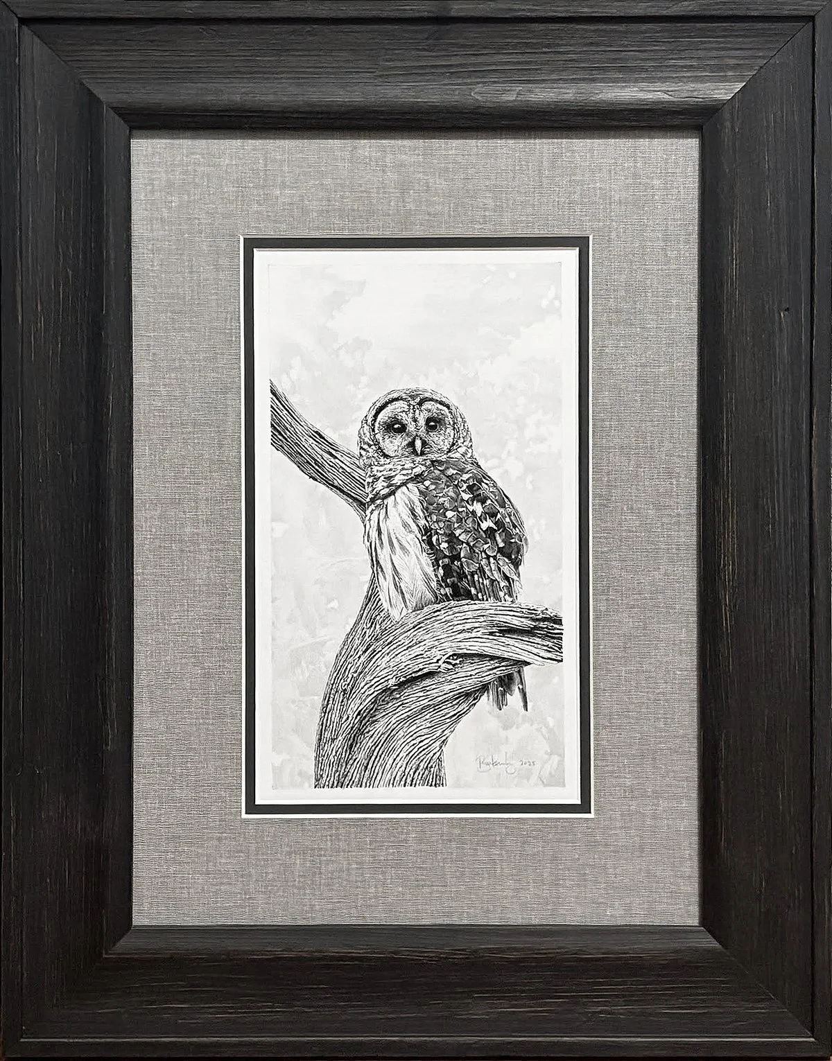 Owl Framed.jpg