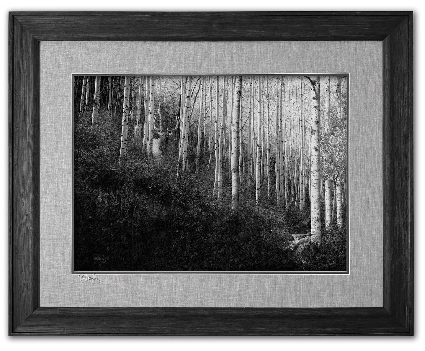 FromTheShadows-FramedWeb.jpg