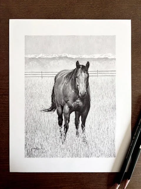 Horse.jpg
