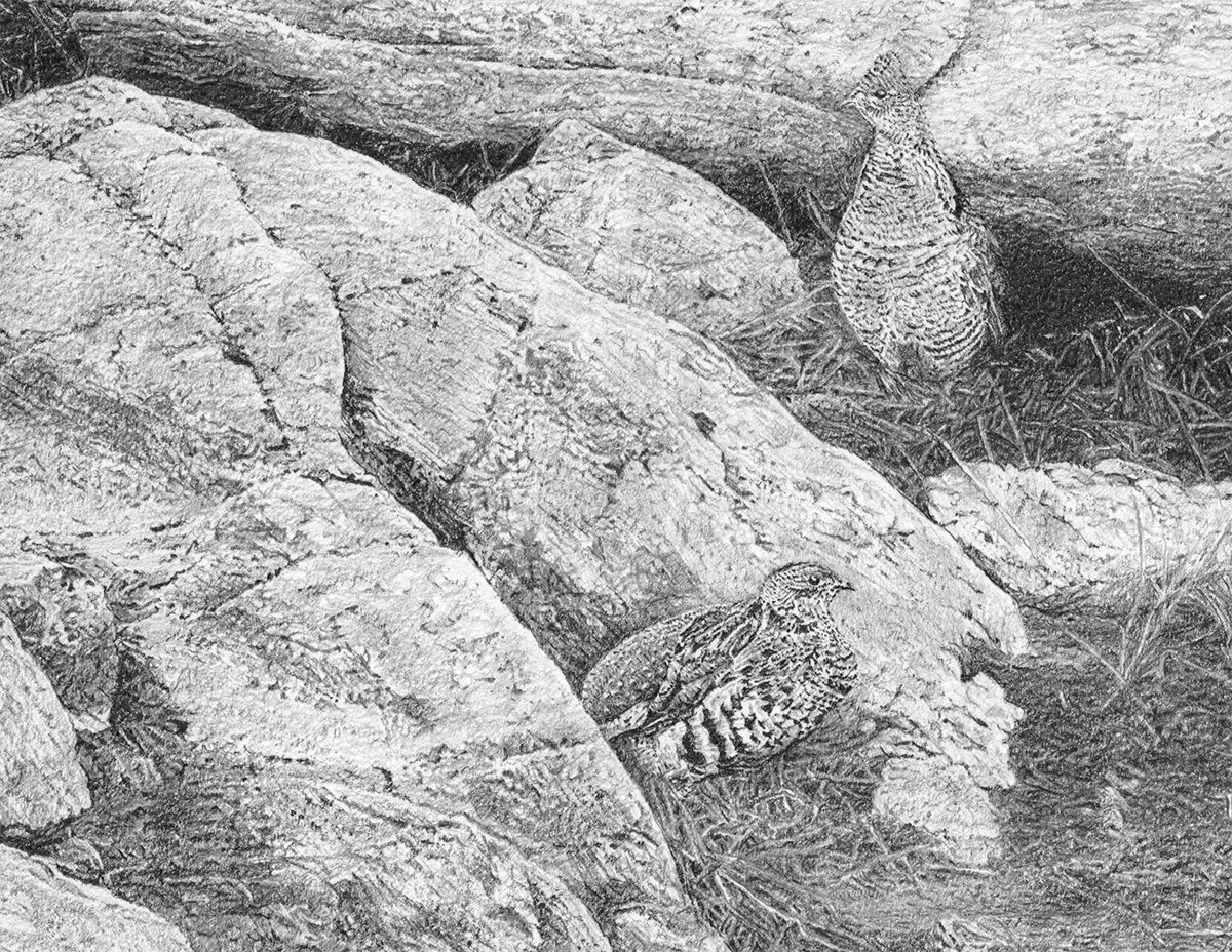 Lion-Detail2.jpg