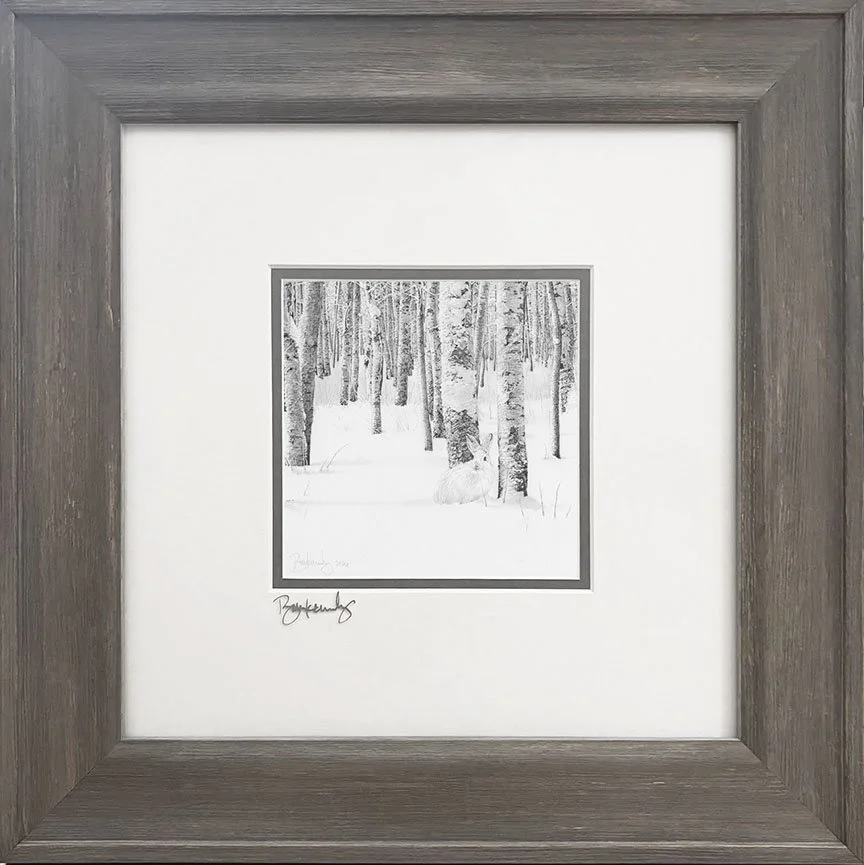 Snowshoe-Framed.jpg