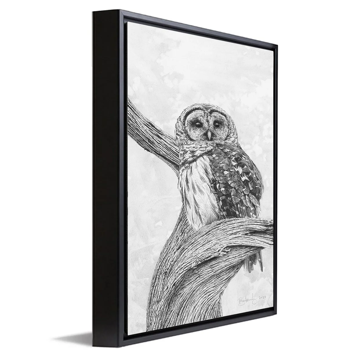 TheQuietHour-FramedCanvas.jpg