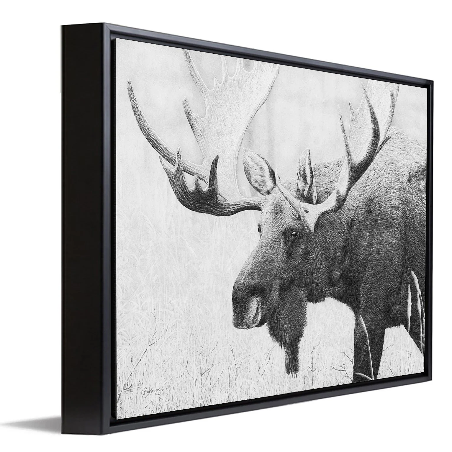 Moose-FramedCanvas.jpg