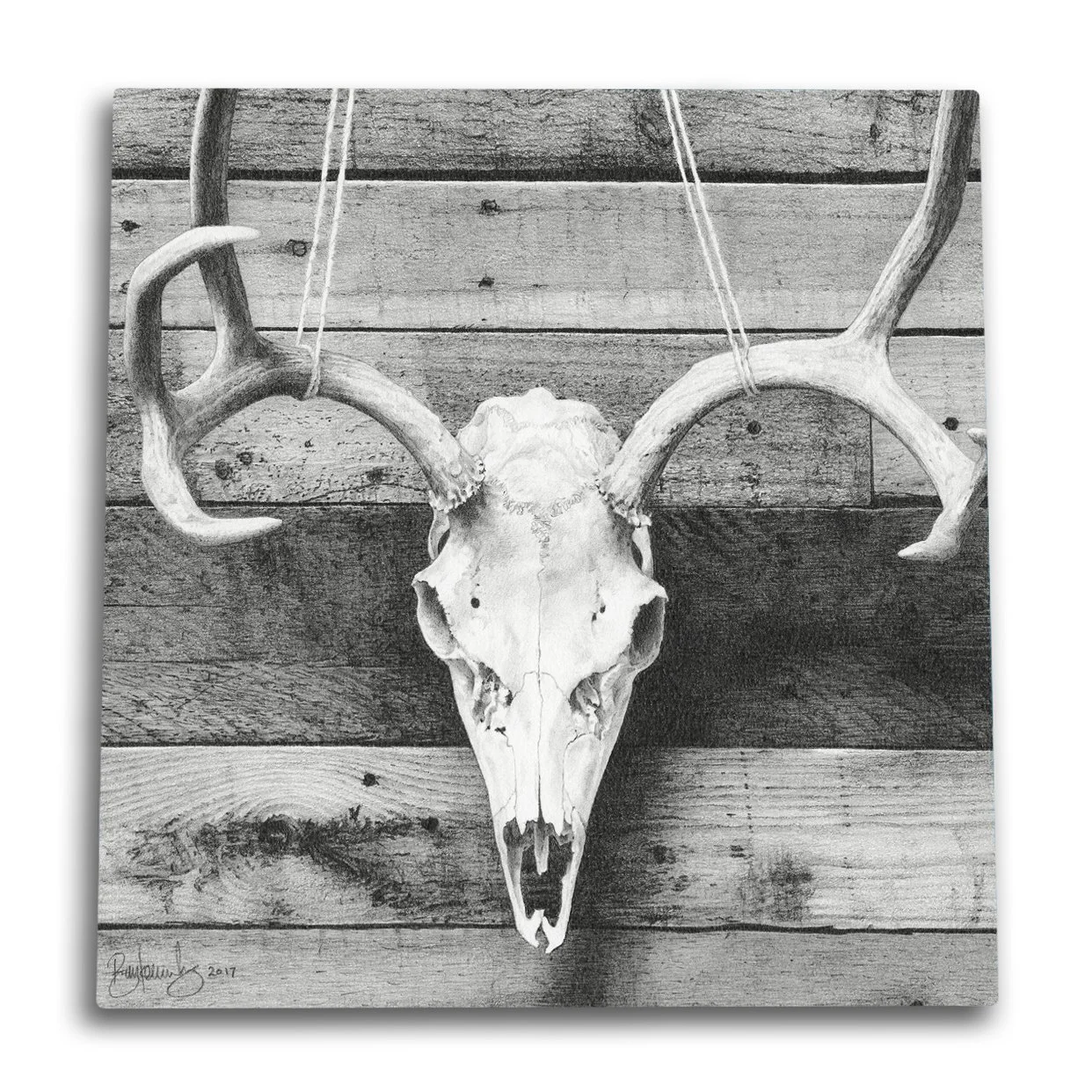 DeerSkull-Metal.jpg