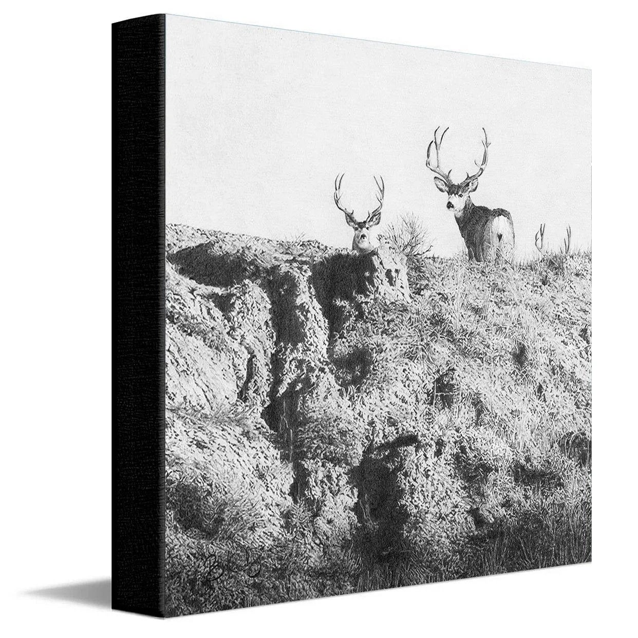 ThreeKings-Canvas.jpg