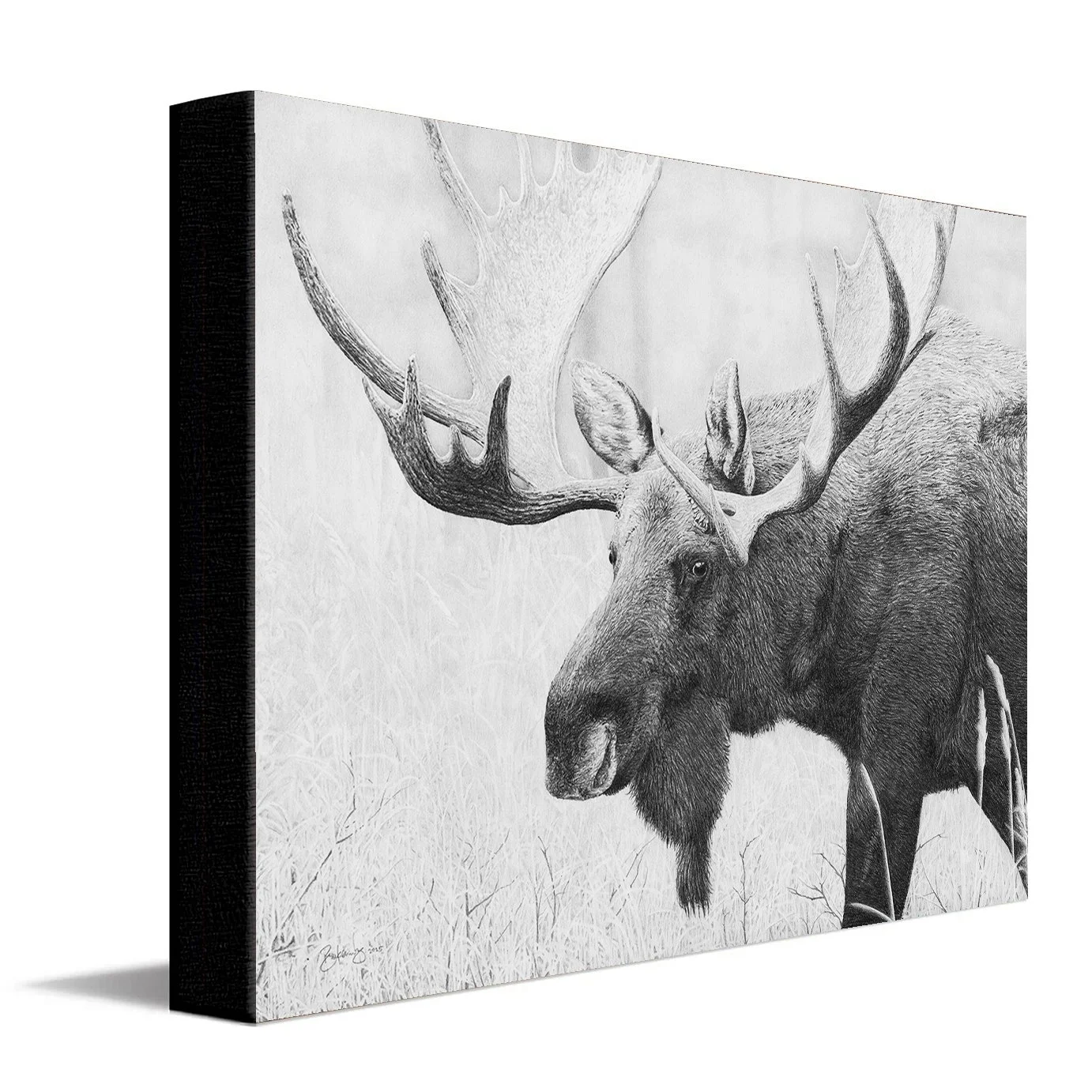 Moose-StretchedCanvas.jpg