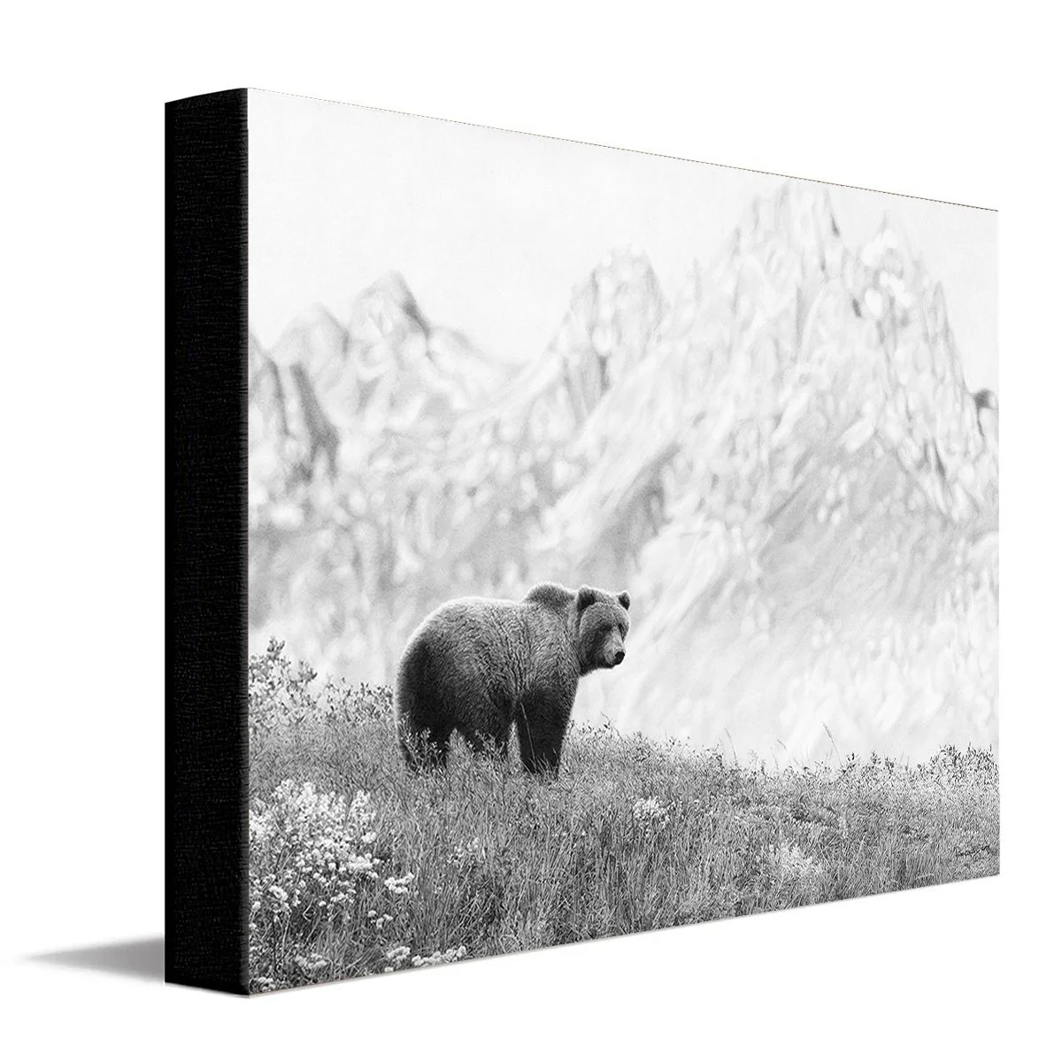 TetonVegabond-StretchedCanvas.jpg